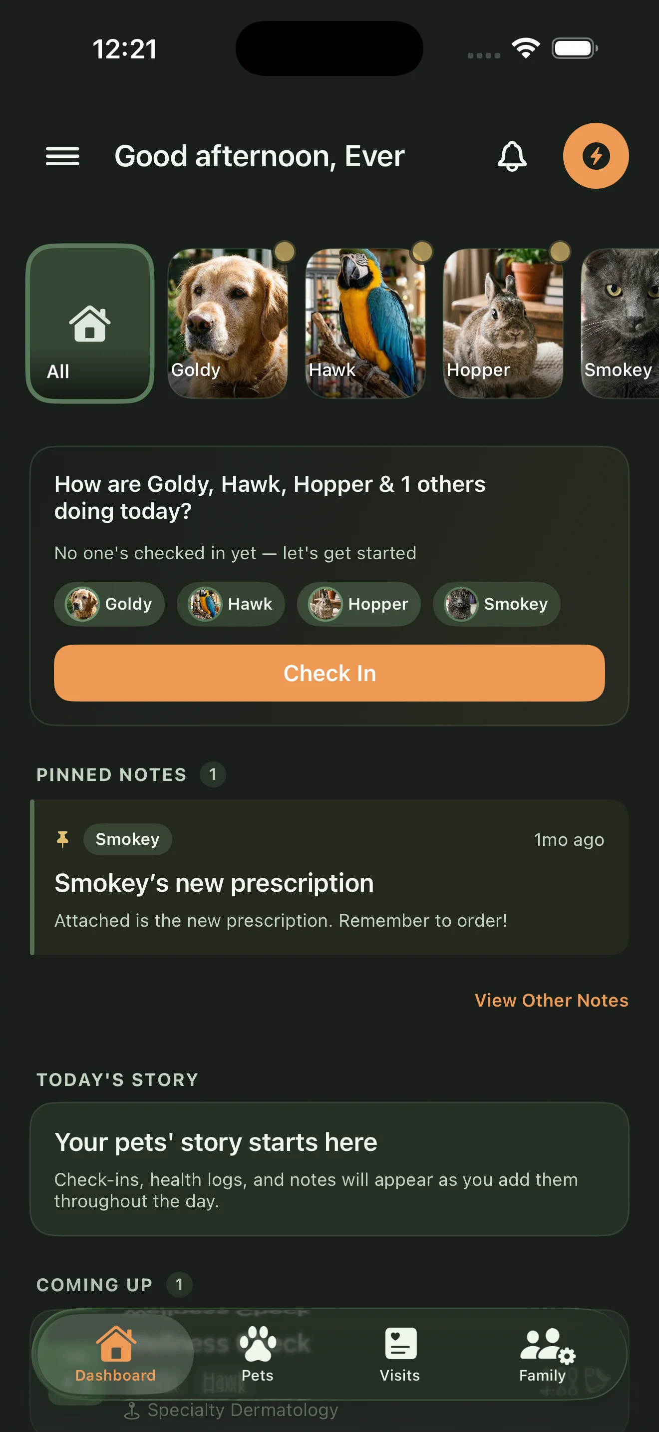 Everkin daily dashboard with check-ins and a multi-pet overview