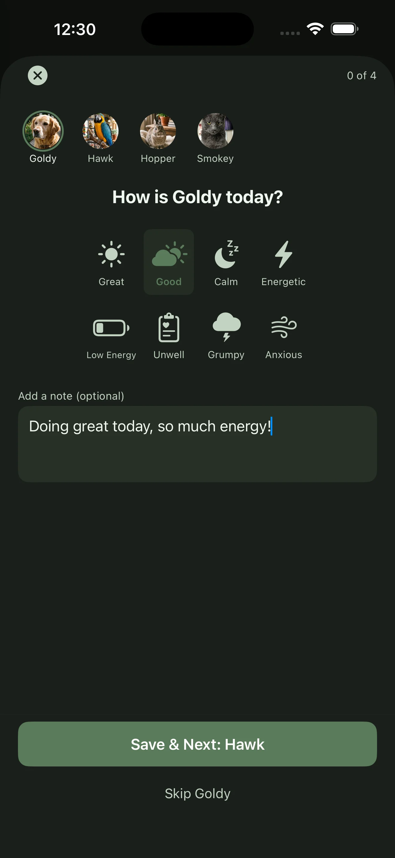 The Everkin daily check-in asking how Goldy is today, with mood options and four pets across the top