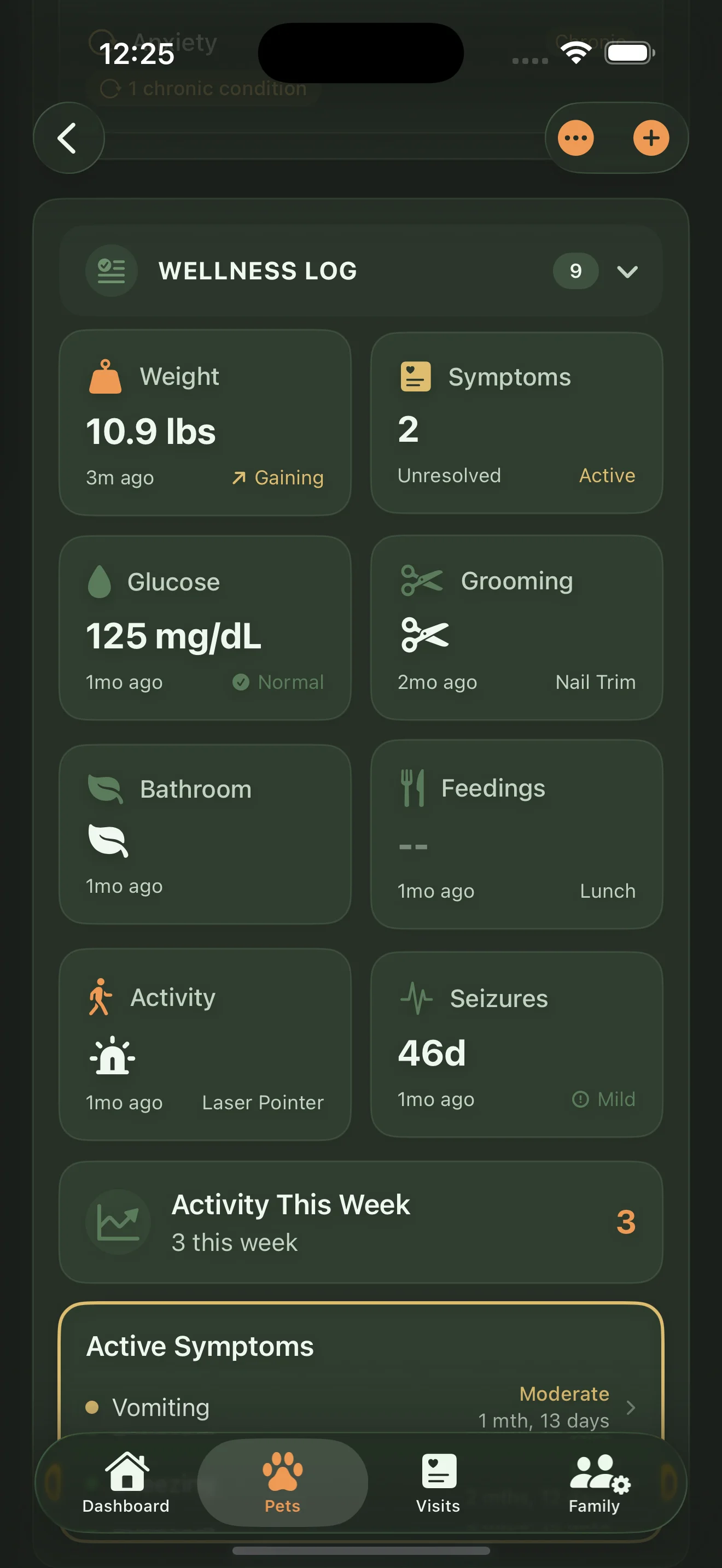 Everkin wellness log in dark mode